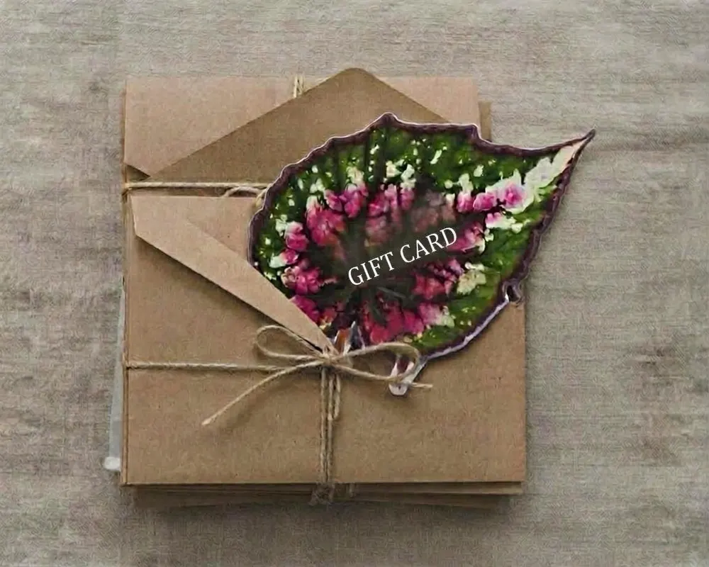 Gift Card GlassGrow: una card a forma di foglia di begonia dentro una busta di carta kraft legata con lo spago
